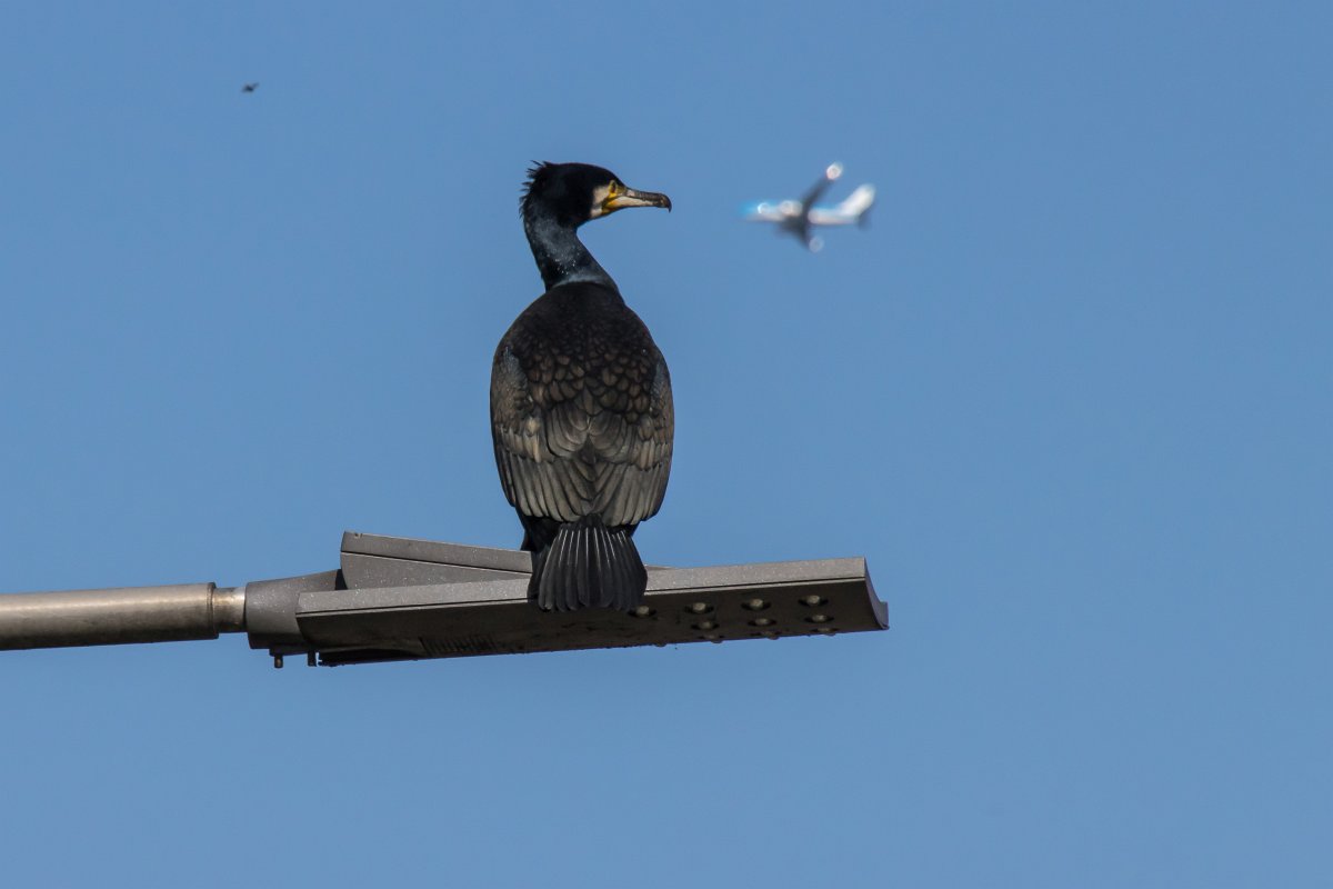 foto: [20210416PV3611]